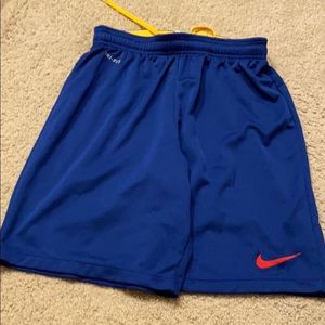 Nike shorts dri fit